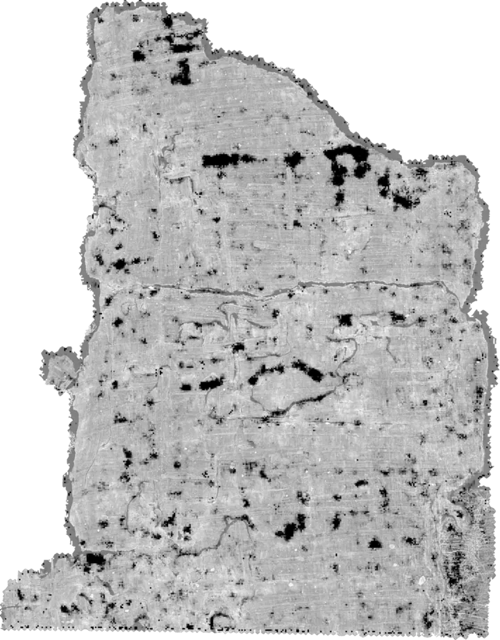 Visualización de una capa subsuperficial de un fragmento de papiro: el modelo destaca en negro regiones que predice como tinta